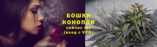 соль ск Богданович