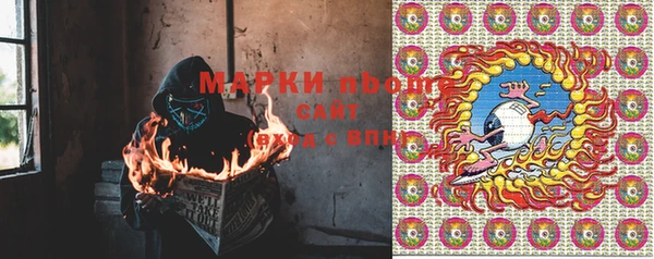 соль ск Богданович
