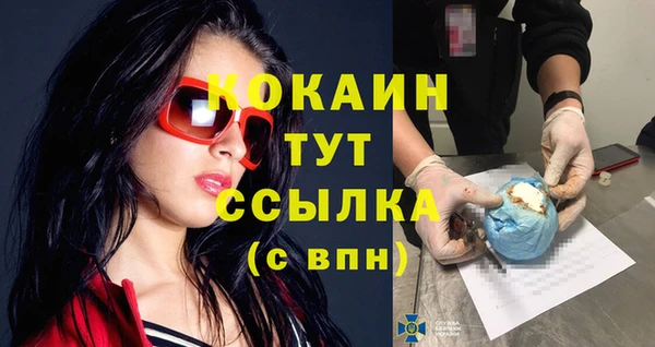 соль ск Богданович